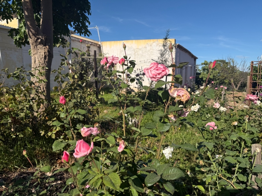  Bedroom Property for Sale in Van Wyksdorp Western Cape